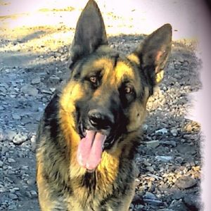 Meet your Posher, Gabriel